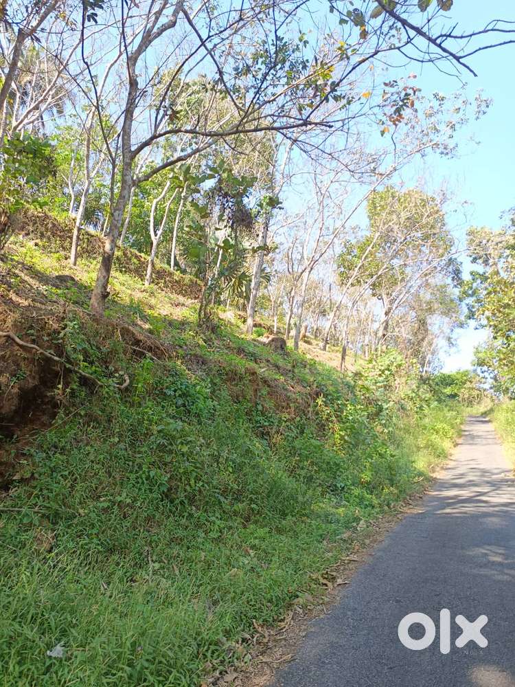 2 acres of rubber plantation land for sale