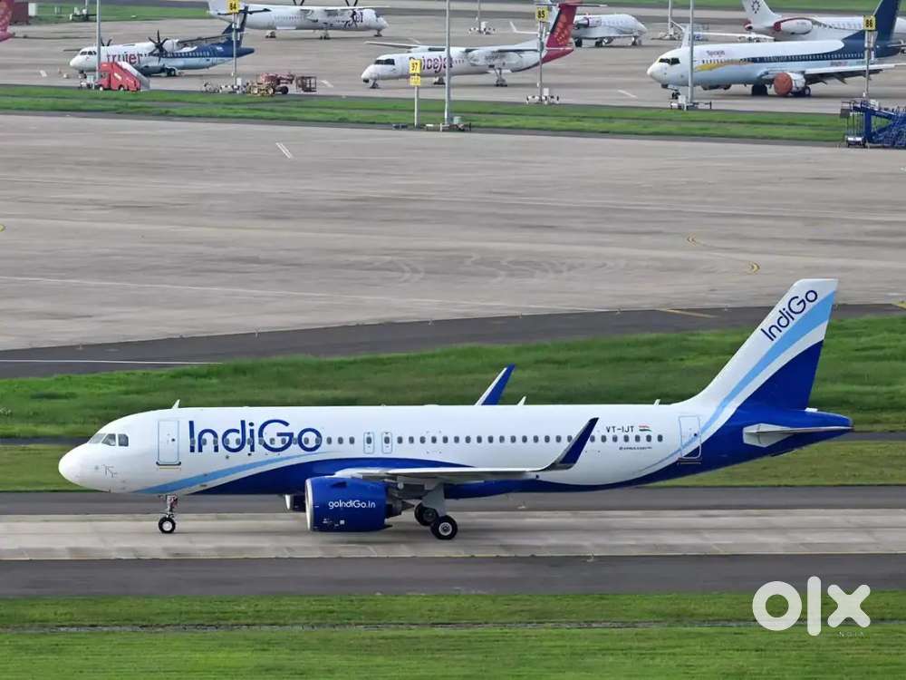 We are hiring for indigo airlines apply fast
