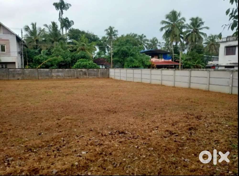 Plot for sale ( 8,9 Cent ) 3.8 Lakh at Kottekad.