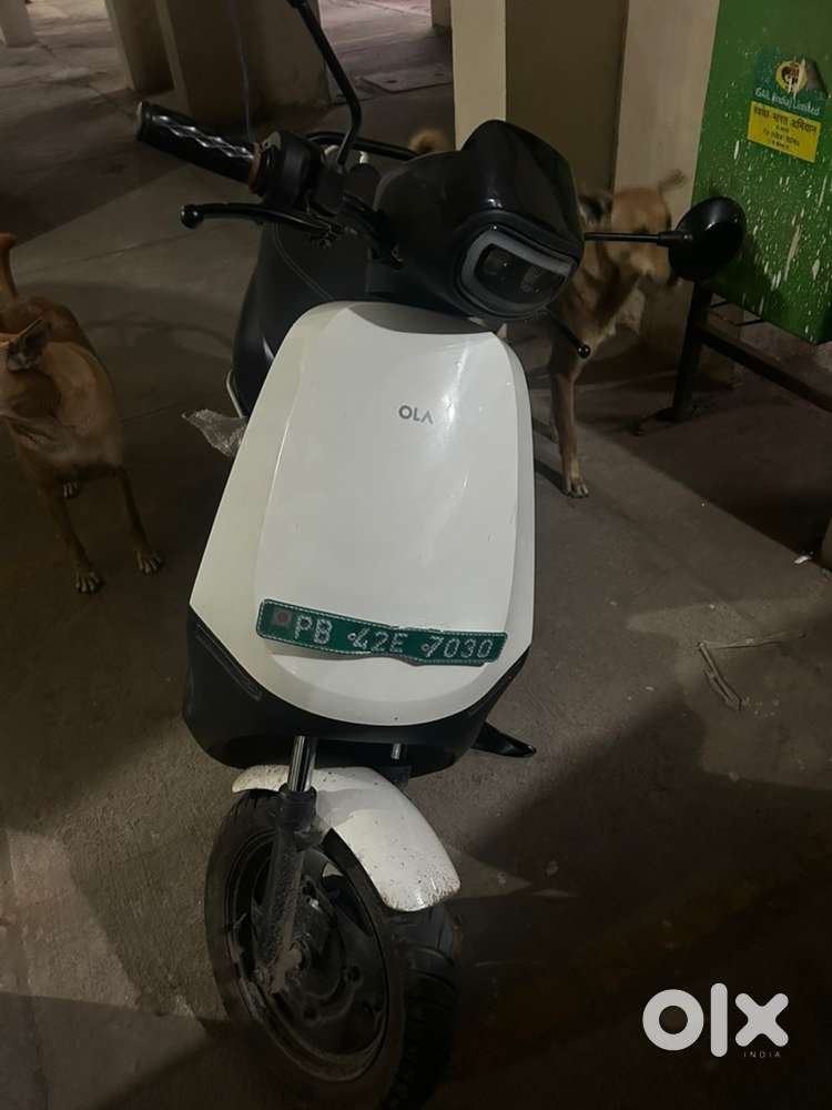 17 October 2024 model