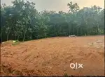 House plot for sale NH 2 nd plot kothamangalam vayanashalappady