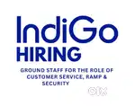 Upto 47 and more vacancy available for ground staff airport job