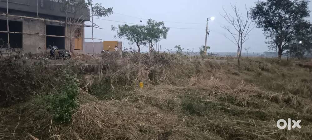 ANKULI TO DHABALESWARA MAIN ROAD