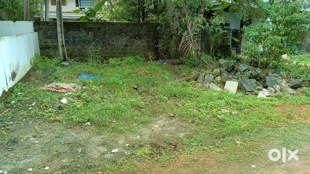 എറണാകുളം ജില്ലയിൽ ആലുവ, Kadungallur  സമിപം 2.4 സെന്റ്  വില്പനയ്ക്ക്