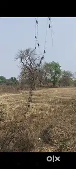 Labour mistri chaiye construction kaam k liye roji me theka m nhi