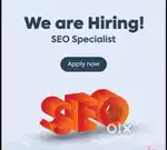 Wordpress Developer with Good SEO Knowledge