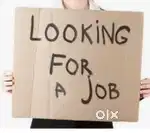 We are looking for handsome paid jobs at home