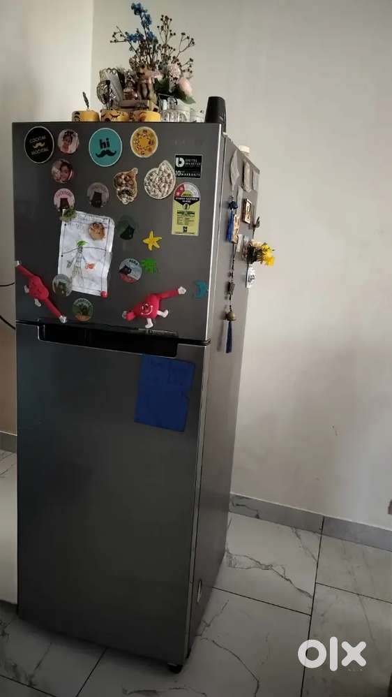 Samsung Double door fridge