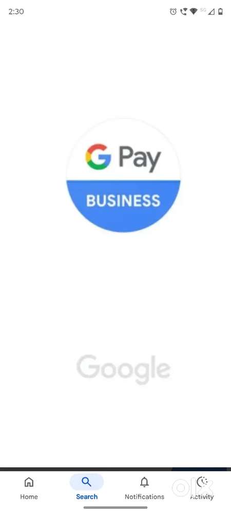 Google pay business