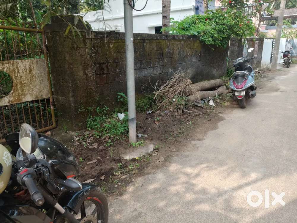 രാമൻകുളങ്ങര ആലാട്ട് കാവ് അമ്പലത്തിന് സമീപം 6 സെന്റ് സ്ക്വയർ പ്ലോട്ട്