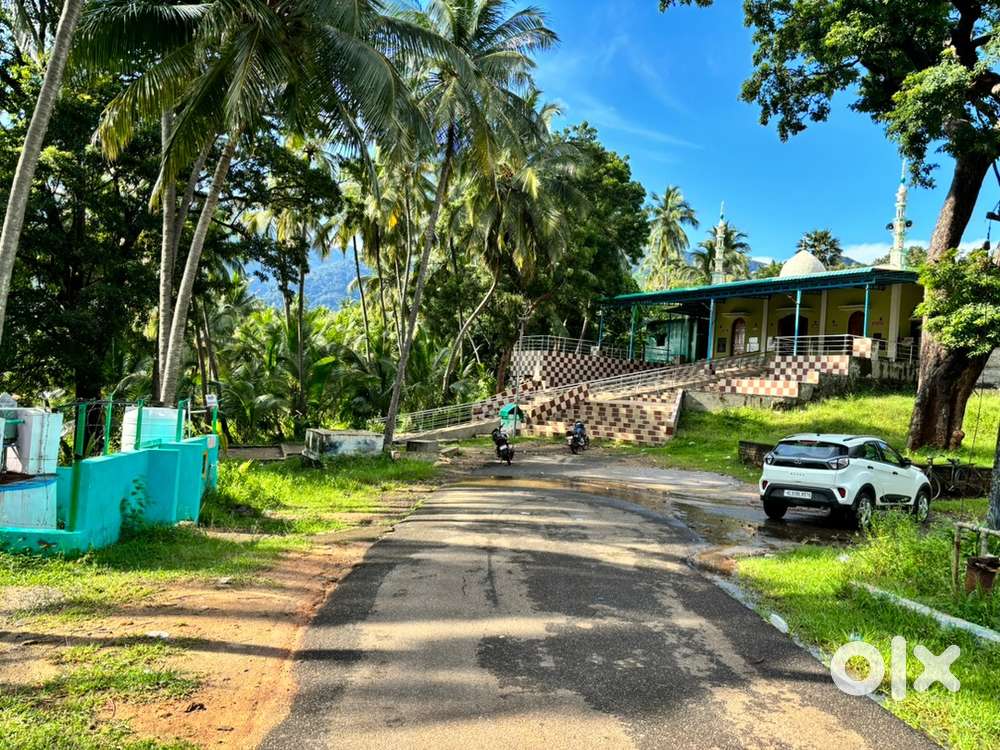 Land for sale near pallimukku