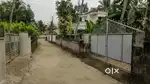 Sreekaryam chempazhanthy ( no brockers )