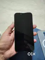 13 pro max