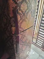 Fridge hai bikau