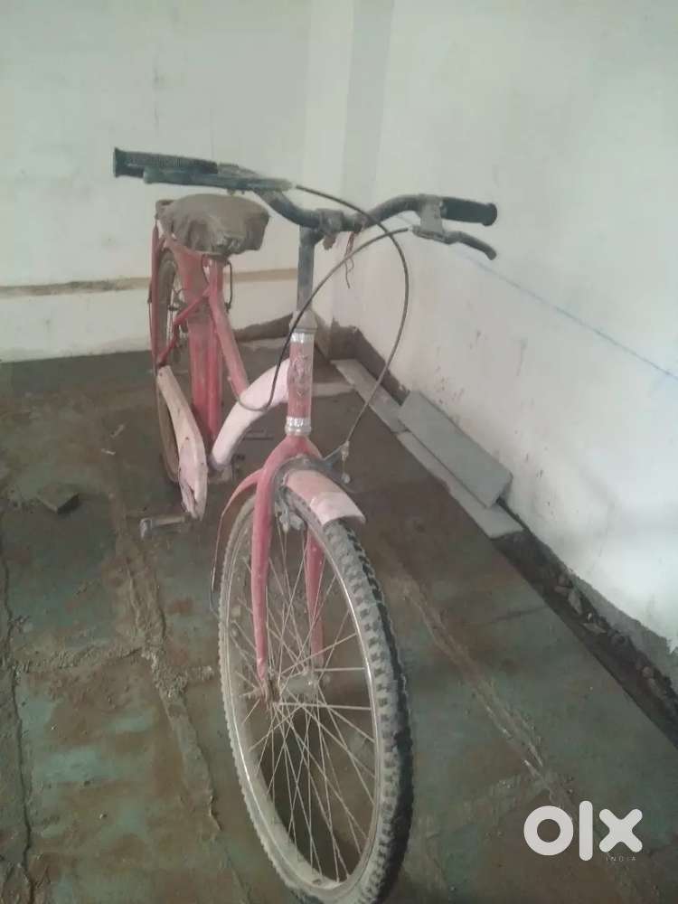 A bicycle for male and female both