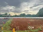Low price negotiable DTCP approved plots for sale
