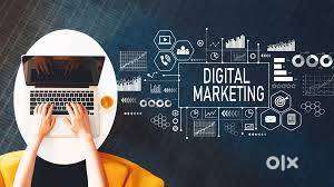 Digital Marketing Executive