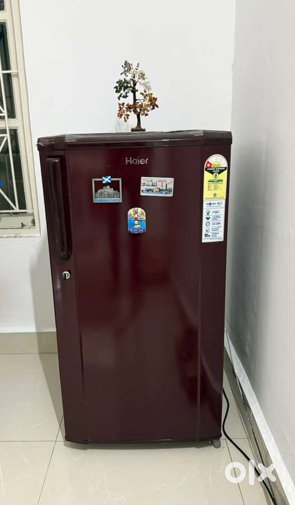 Haier 165L Refrigerator