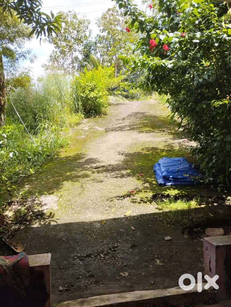 HOUSE AND PLOT FOR SALE