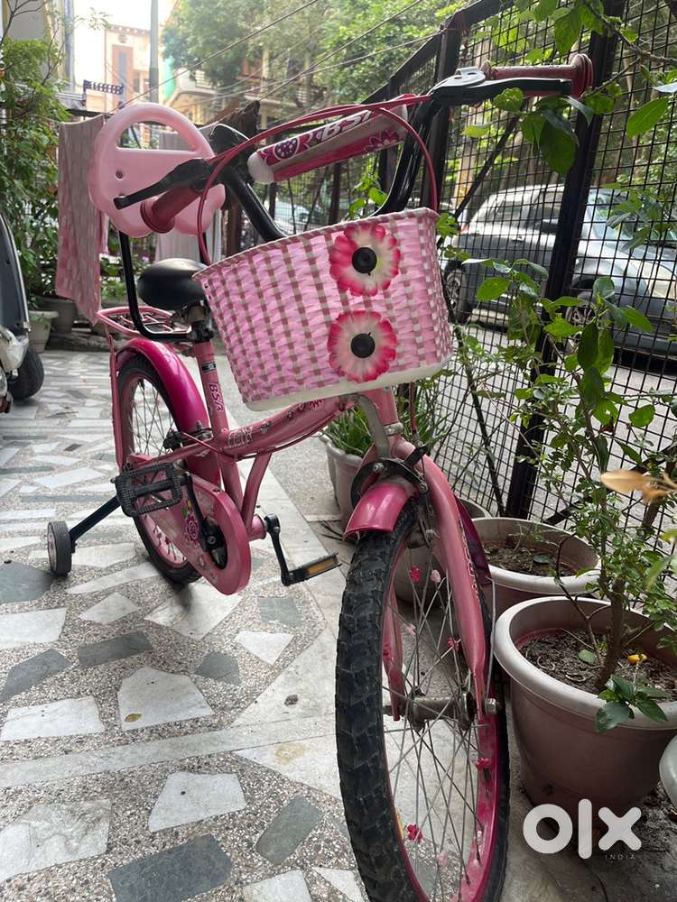 Kids bicycle BSA Flora pink in color
