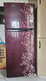 LG Smart inverter 258ltr double door fridge