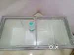 WESTERN DEEP FREEZER