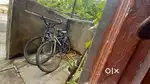 Sale for 2 cycles