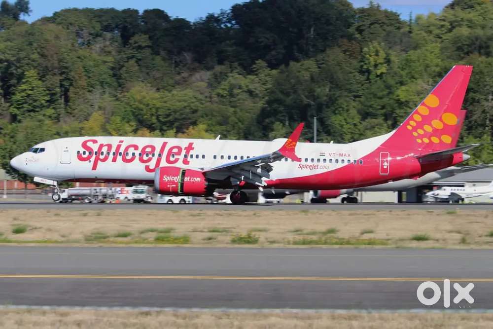 We are urgently required for ticketing executive in varanasi airport