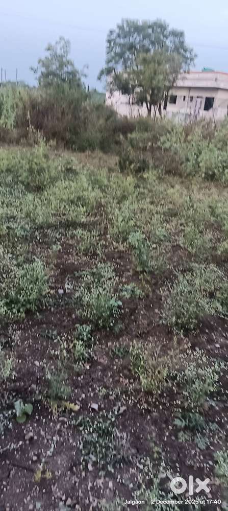 शेतकी शाळे मागे चंदू आण्णा nagar jalgaon