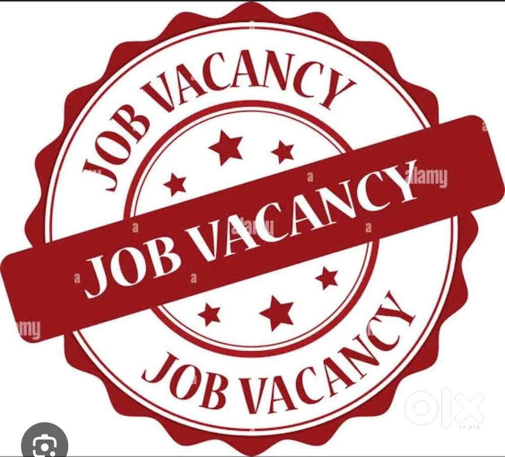 Office boy/sales staff/superviser/management staff/Driver