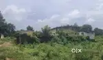St plot for sale