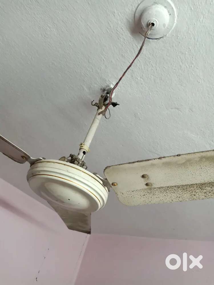 ceiling fan for sale 700
