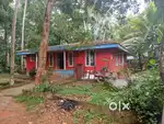 Property near vellayani lake for sale.