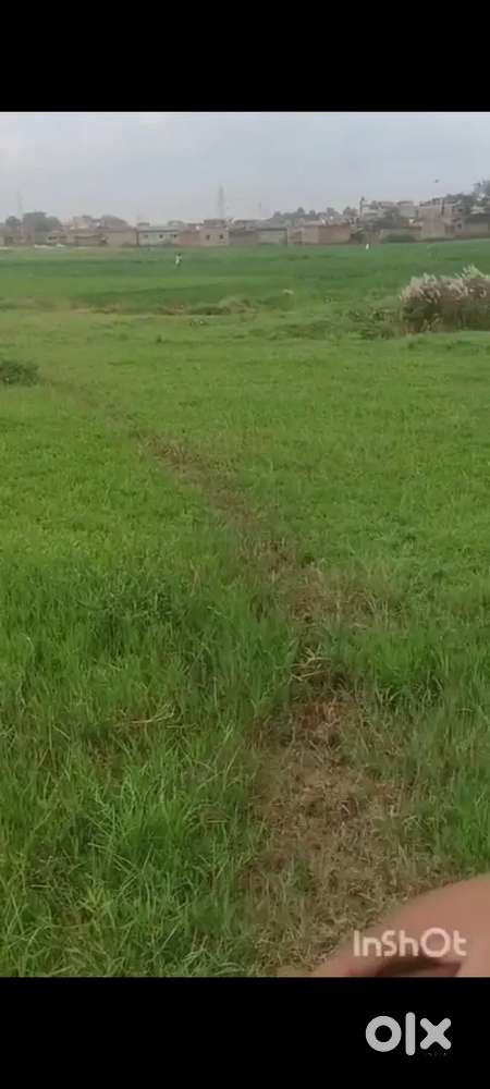 10 dismil general plot pandra ranchi