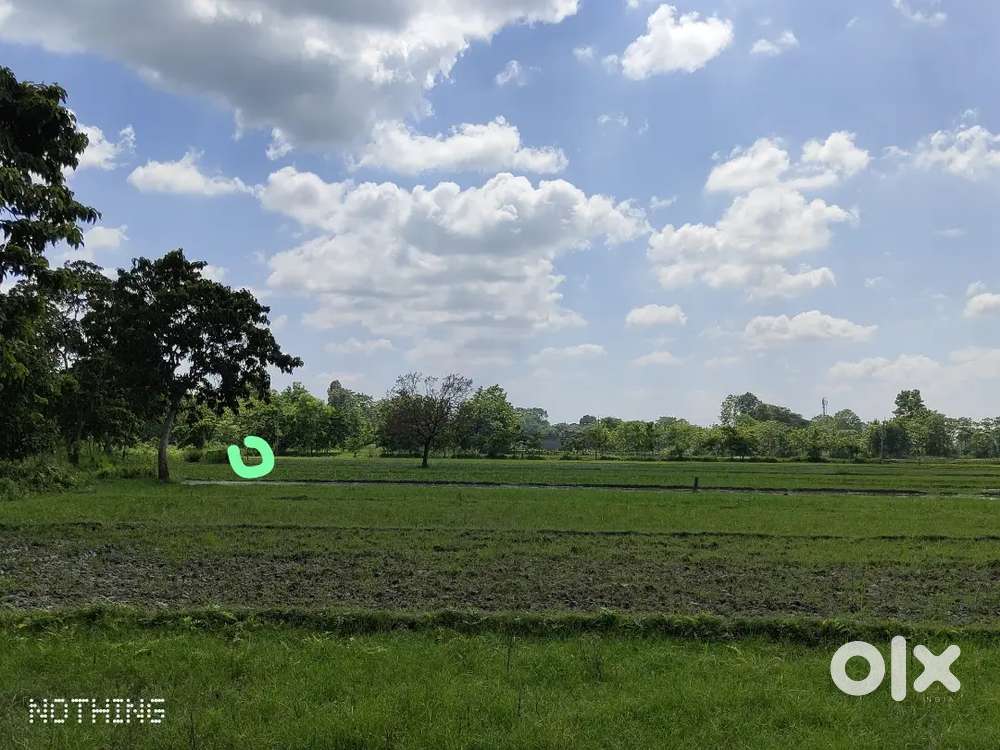 1 bigha 1 plot (near NH 27 , near sarvodaya national accademy, )