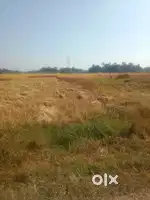 Land for sale at BHIMPARA