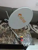 Airtel  dish it's been a month now and one year reacharge pack free
