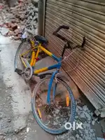 Other brand cycle