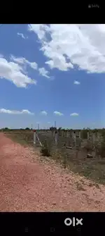 Low budget high return plots available . Price negotiable