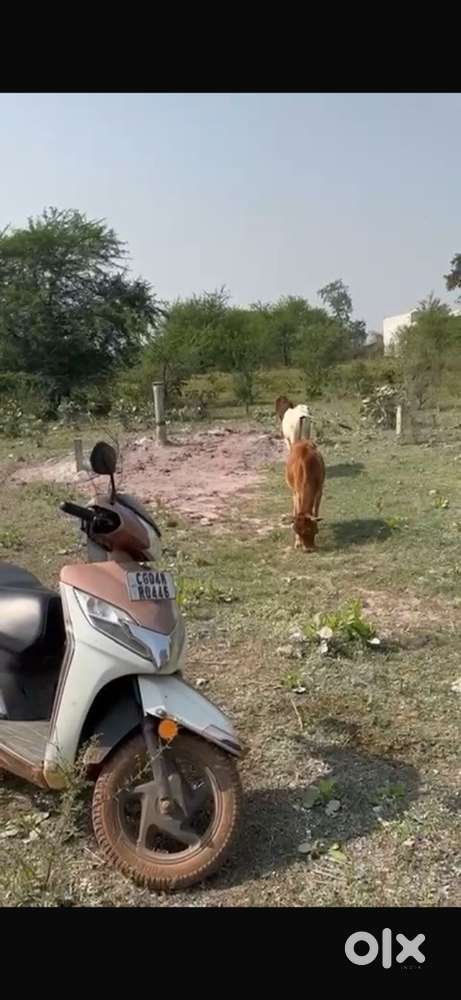 Kandul me main damar road se 250 meter me plot bechna hai.