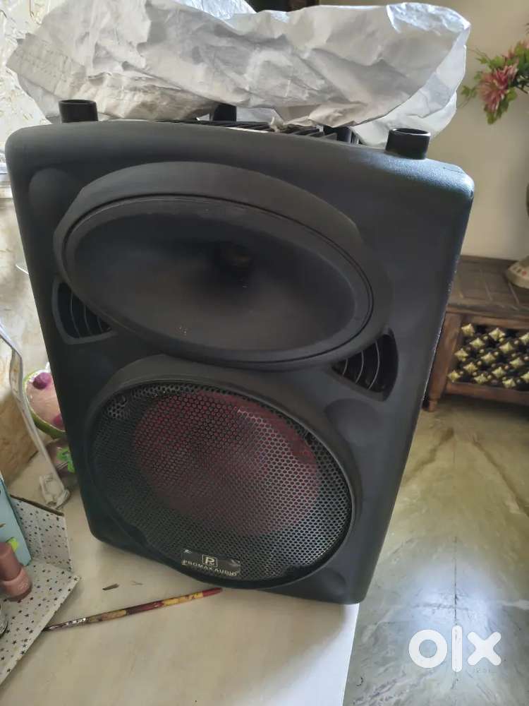 Karaoke speaker