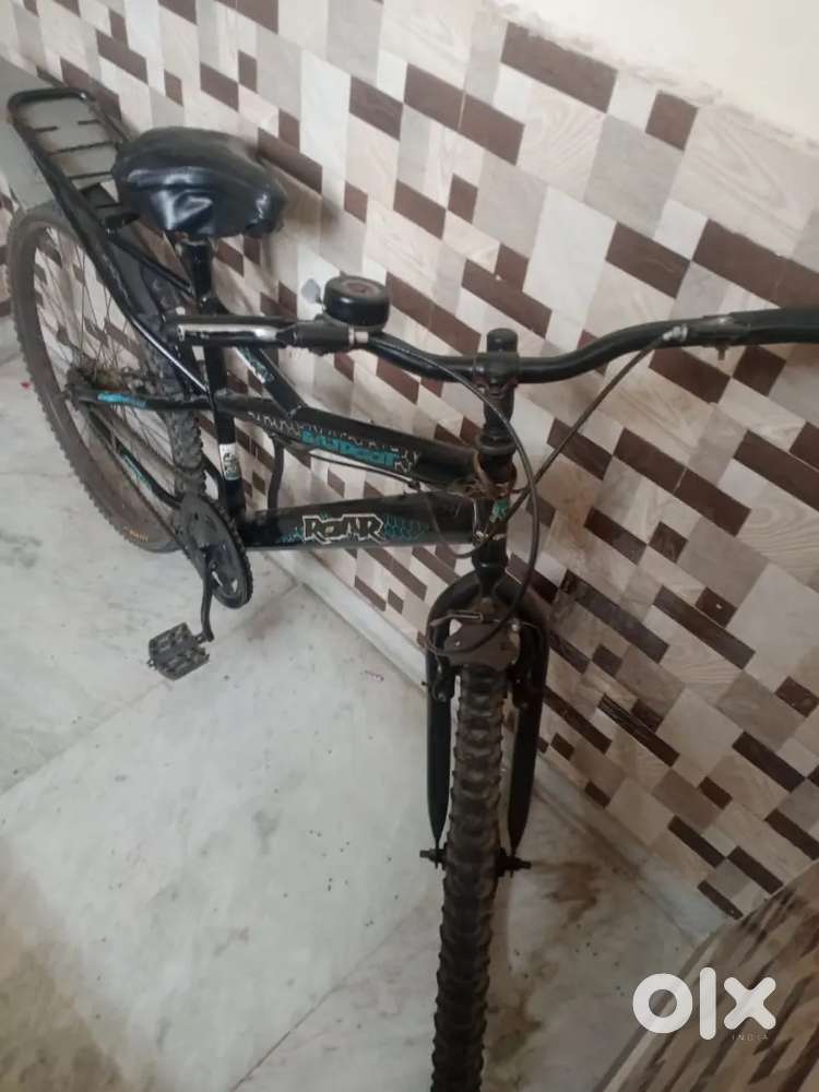 Roar cycle