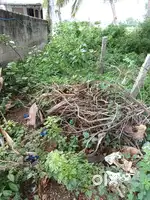 Plot for sale