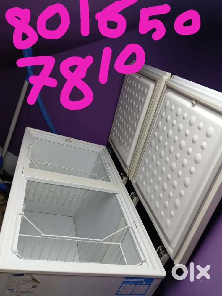 500 litre Blue Star deep freeze