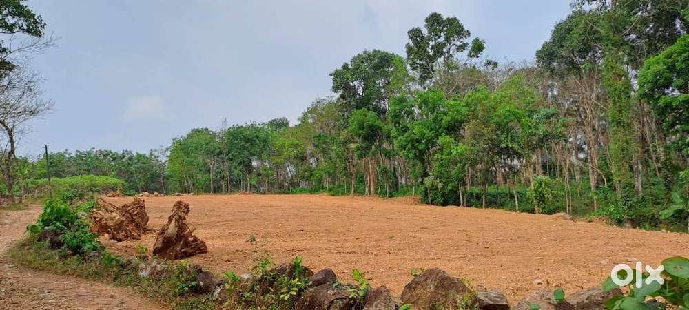 50 cents Land for sale,  Pampady