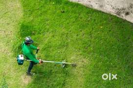 Grass cutting with minimal amount near kunnamkulam