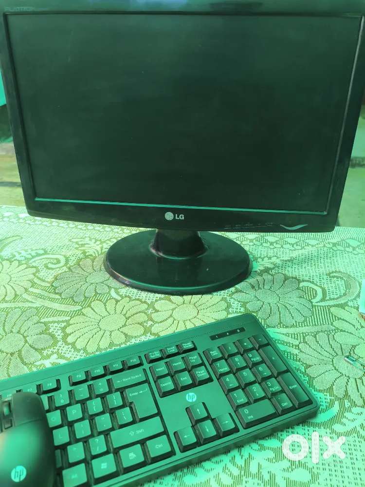 LG 18.5 inch monitor
