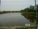 Chapala cheruvulu lease ki kavali 5 to 10 acres