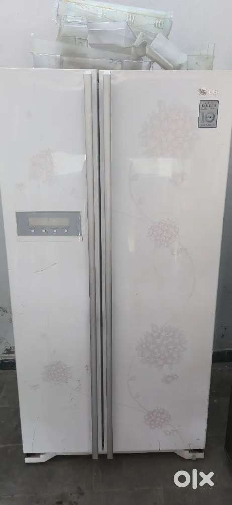 LG fridge side by side.