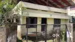 OLD HOUSE AND 9 SENT LANT FOR SALE KOZHIKODE